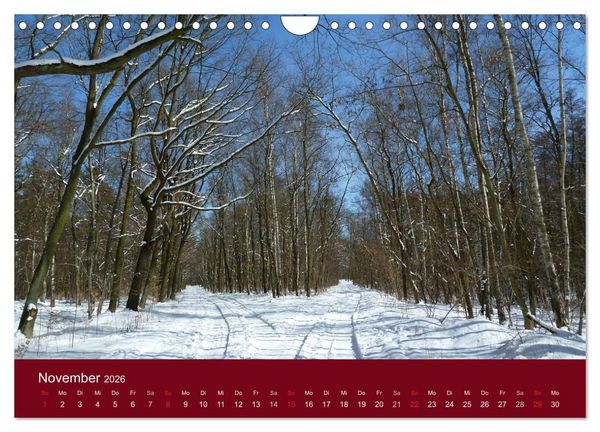 Produktbild: Falkensee - Das Tor zum Havelland (Wandkalender 2026 DIN A4 quer), CALVENDO Monatskalender