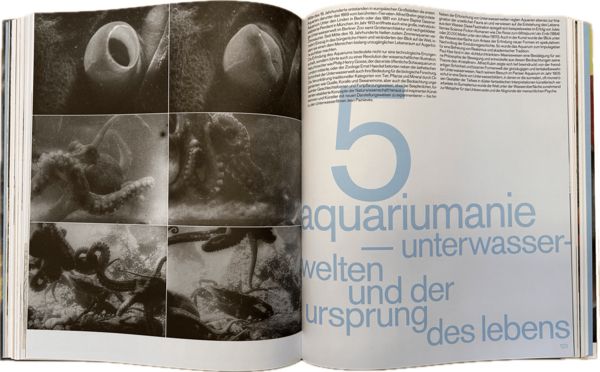 Produktbild: Die Moderne im Zoo