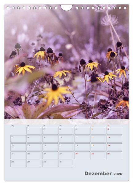 Produktbild: Magie im Garten (Wandkalender 2026 DIN A4 hoch), CALVENDO Monatskalender