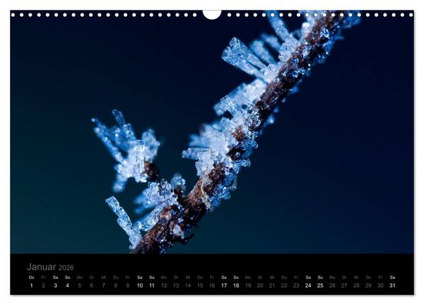Produktbild: Natur im Detail (Wandkalender 2026 DIN A3 quer), CALVENDO Monatskalender