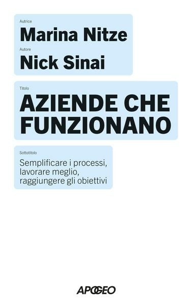 Produktbild: Aziende che funzionano. Semplificare i processi, lavorare meglio, raggiungere gli obiettivi