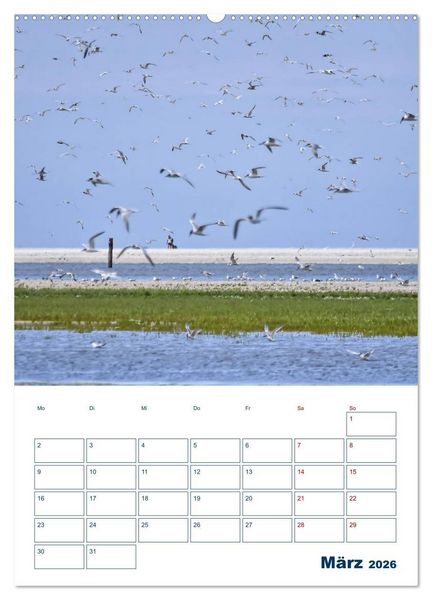 Produktbild: Texel - Momente die verzaubern (Wandkalender 2026 DIN A2 hoch), CALVENDO Monatskalender