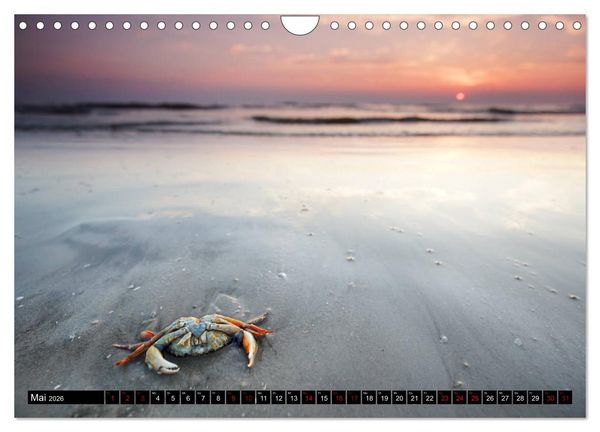 Produktbild: Sankt Peter Ording Sandstrand (Wandkalender 2026 DIN A4 quer), CALVENDO Monatskalender