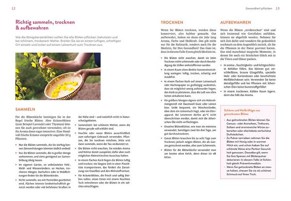 Produktbild: Bl&uuml;tenk&uuml;che