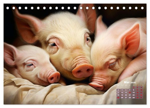 Produktbild: Wenn sie schlafen... (Tischkalender 2026 DIN A5 quer), CALVENDO Monatskalender