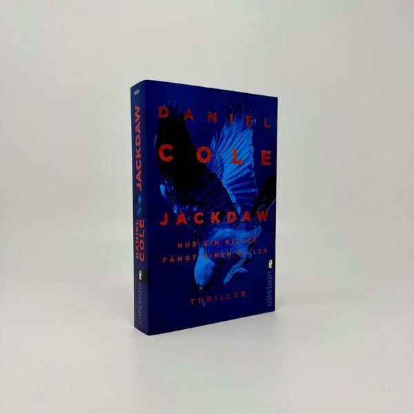 Produktbild: Jackdaw