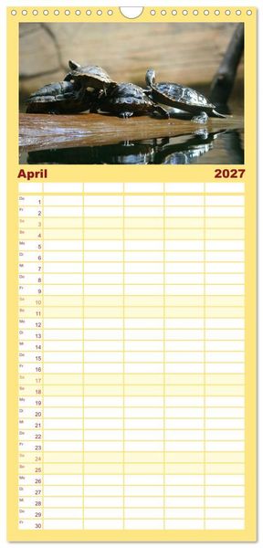 Produktbild: Familienplaner 2027 - Schildkr&ouml;ten - Gepanzerte Urzeitwesen mit 5 Spalten (Wandkalender, 21 x 45 cm) CALVENDO
