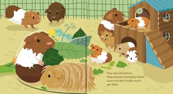 Produktbild: Baby Pixi (unkaputtbar) 189: Flippediflapp: Tiere bei uns zu Hause