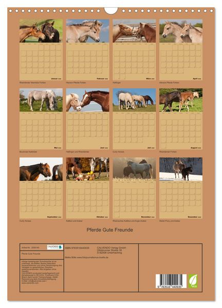 Produktbild: Pferde Gute Freunde (Wandkalender 2026 DIN A3 hoch), CALVENDO Monatskalender