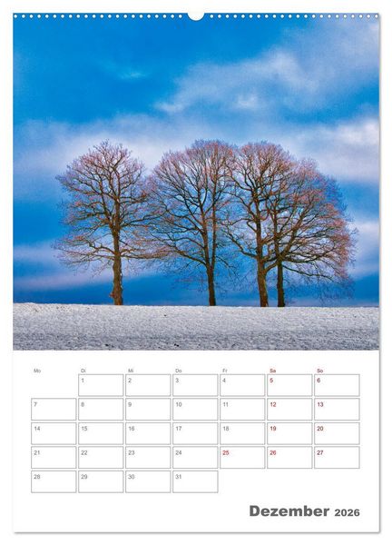 Produktbild: Planen mit dem Symbol der inneren St&auml;rke (Wandkalender 2026 DIN A2 hoch), CALVENDO Monatskalender