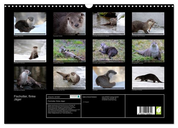 Produktbild: Fischotter, flinke J&auml;ger (Wandkalender 2026 DIN A3 quer), CALVENDO Monatskalender