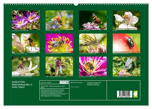 Produktbild: INSEKTEN - Makrofotografie in freier Natur (hochwertiger Premium Wandkalender 2026 DIN A2 quer), Kunstdruck in Hochglanz