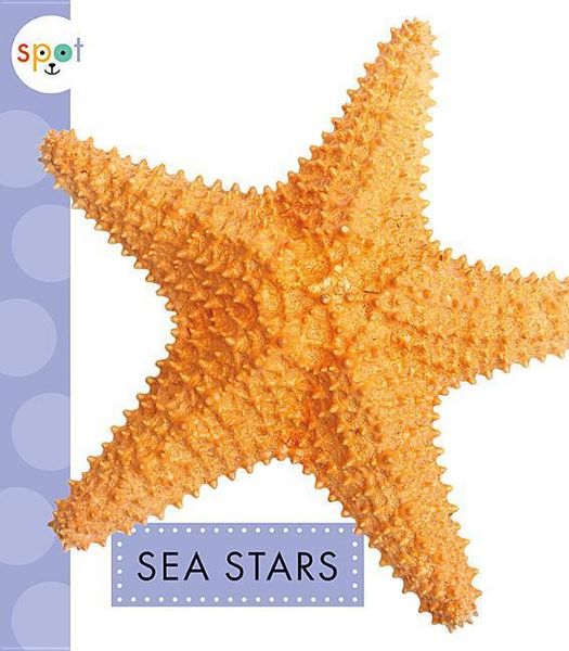 Produktbild: Sea Stars