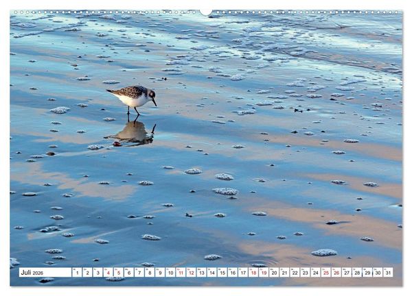 Produktbild: Wintertage auf Norderney (Wandkalender 2026 DIN A2 quer), CALVENDO Monatskalender