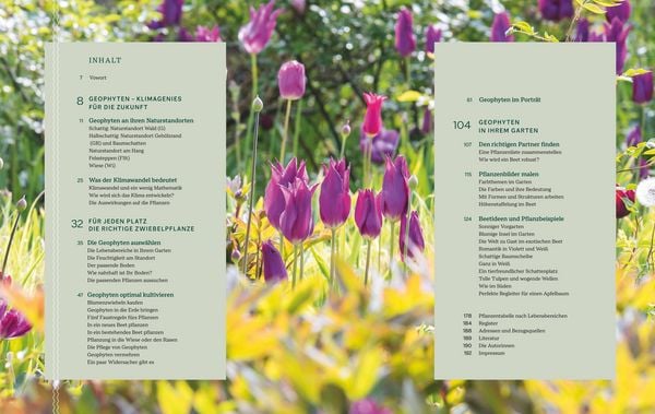 Produktbild: Robuste Traumbeete gestalten