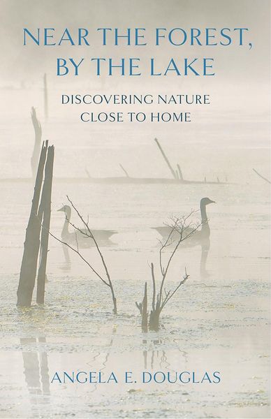 Produktbild: Near the Forest, By the Lake