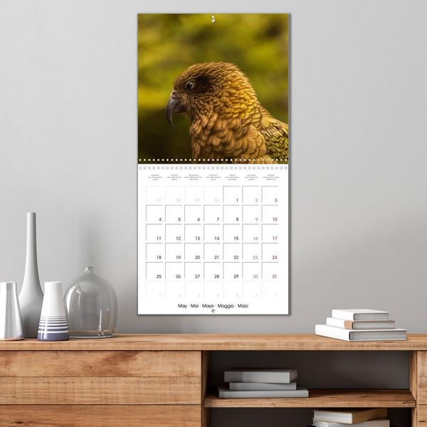 Produktbild: Rencontres animali&egrave;res (Calendrier mural carr&eacute; 2026 30x30 cm) Calendrier double avec une page pour vos prises de notes