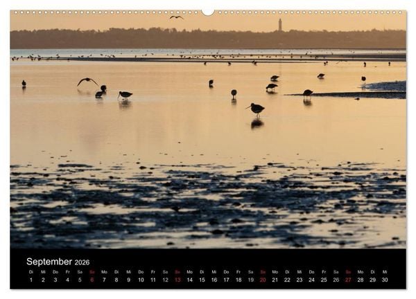 Produktbild: Sylt-Abende - Fotografien von Beate Zoellner (hochwertiger Premium Wandkalender 2026 DIN A2 quer), Kunstdruck in Hochglanz