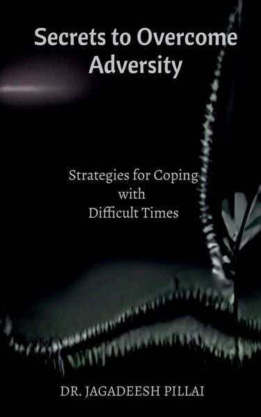 Produktbild: Secrets to Overcome Adversity