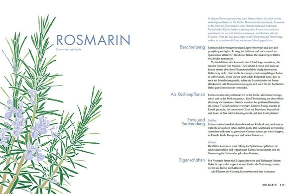 Produktbild: Das besondere Kr&auml;uterkochbuch