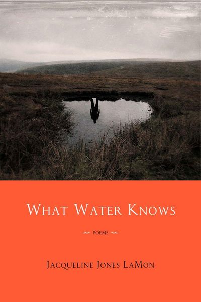 Produktbild: What Water Knows
