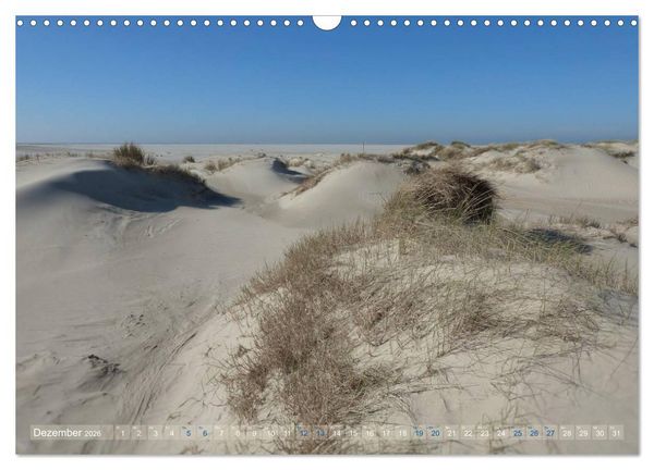 Produktbild: Texel. Neue D&uuml;nen (Wandkalender 2026 DIN A3 quer), CALVENDO Monatskalender