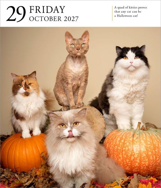 Produktbild: Cat Page-A-Day&reg; Gallery Calendar 2027