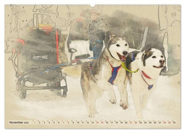 Produktbild: Schlittenhunde 2026 (Wandkalender 2026 DIN A2 quer), CALVENDO Monatskalender