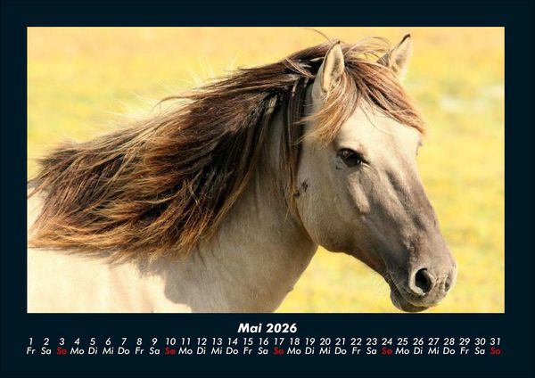 Produktbild: Pferdegefl&uuml;ster 2026 Fotokalender DIN A4