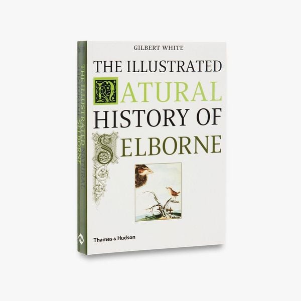 Produktbild: The Illustrated Natural History of Selborne