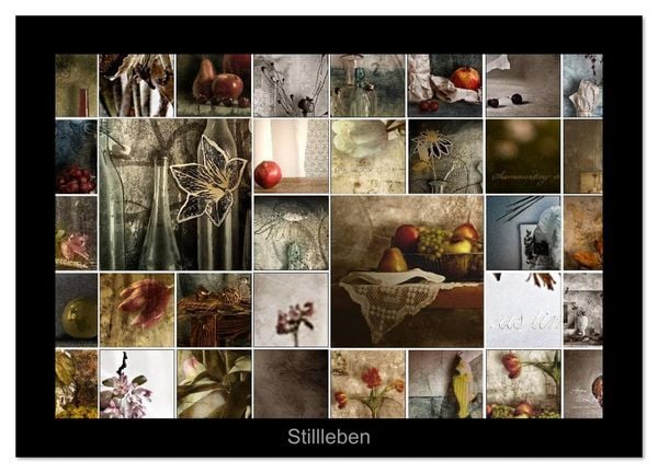 Stillleben (Wandkalender 2026 DIN A4 quer), CALVENDO Monatskalender