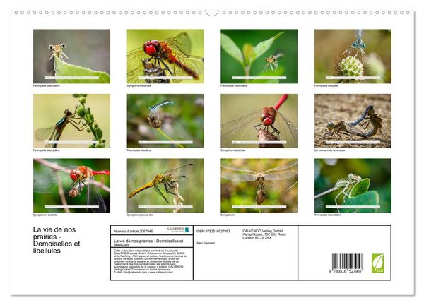 Produktbild: La vie de nos prairies - Demoiselles et libellules (Calendrier mural 2026 DIN A2 vertical) calendrier de bureau