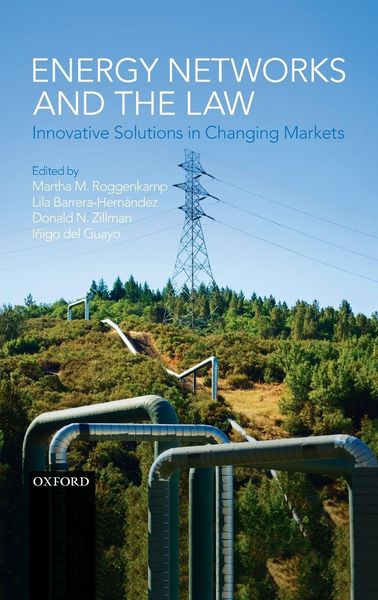 Produktbild: ENERGY NETWORKS & THE LAW C