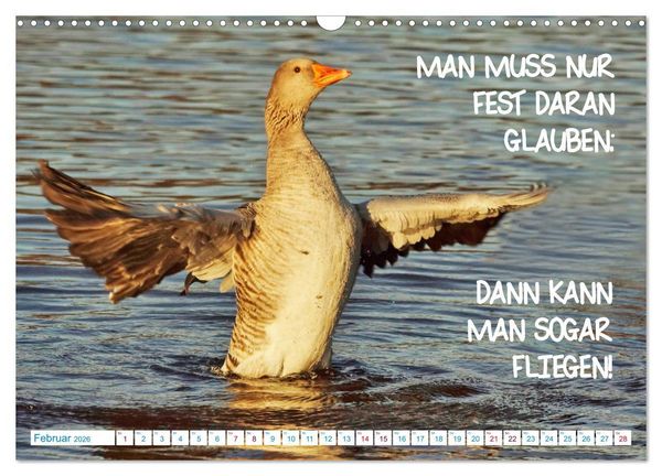 Produktbild: Humorvolles aus der Tierwelt (Wandkalender 2026 DIN A3 quer), CALVENDO Monatskalender