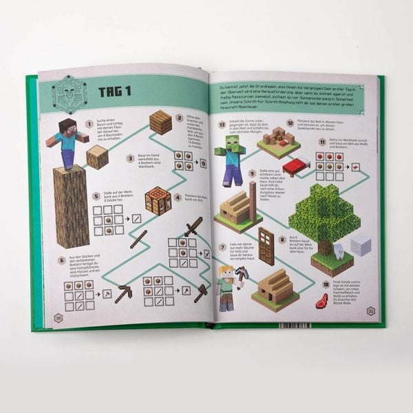 Produktbild: Minecraft &ndash; Das Survival-Handbuch