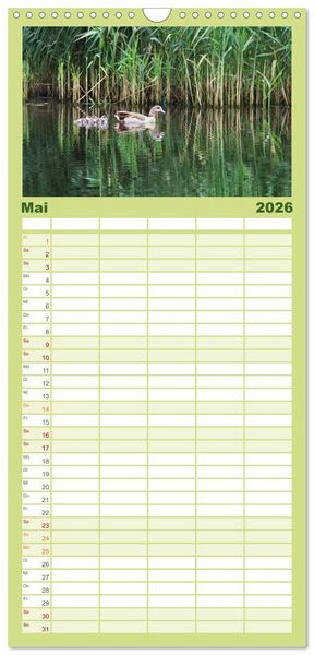 Produktbild: Familienplaner 2026 - Welt der Tiere mit 5 Spalten (Wandkalender, 21 x 45 cm) CALVENDO