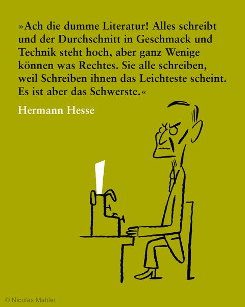 Produktbild: Ach die dumme Literatur!