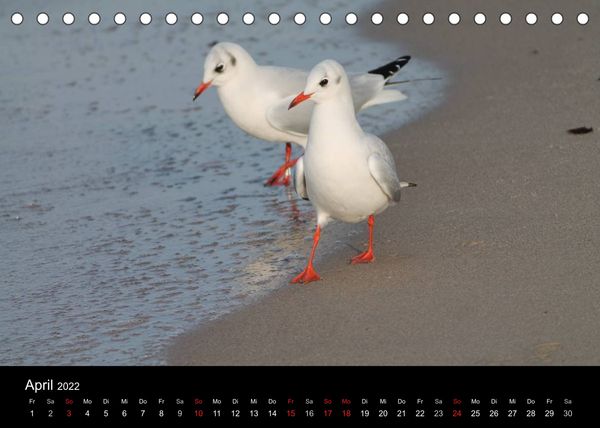 Produktbild: Meergef&uuml;hl (Tischkalender 2022 DIN A5 quer)