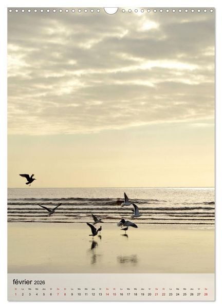 Produktbild: La mouette (Calendrier mural 2026 DIN A3 horizontal), CALVENDO calendrier mensuel