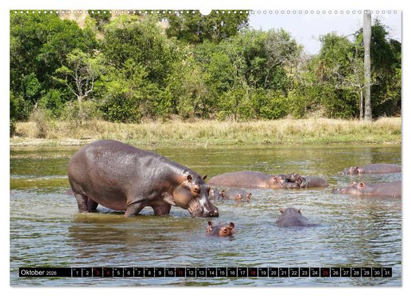 Produktbild: Afrikas Perle Uganda (Wandkalender 2026 DIN A2 quer), CALVENDO Monatskalender