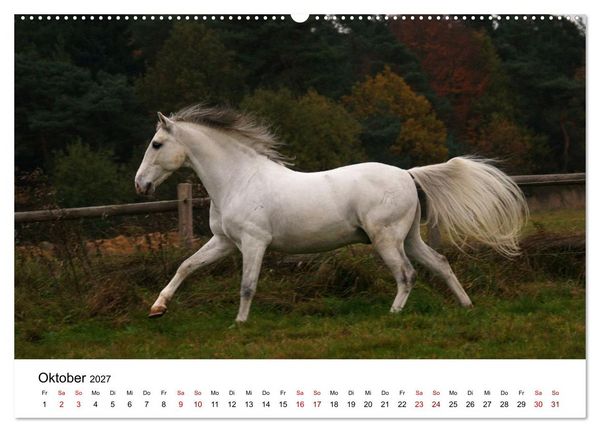 Produktbild: PFERDE - Zwischen Himmel, Erde und Hufschlag (hochwertiger Premium Wandkalender 2027 DIN A2 quer), Kunstdruck in Hochglanz
