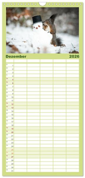 Produktbild: Familienplaner 2026 - Geheimes Waldleben mit 5 Spalten (Wandkalender, 21 x 45 cm) CALVENDO