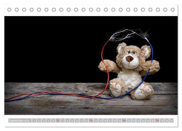 Produktbild: Eddy, der Teddy - 12 Bilder zum Schmunzeln (Tischkalender 2026 DIN A5 quer), CALVENDO Monatskalender