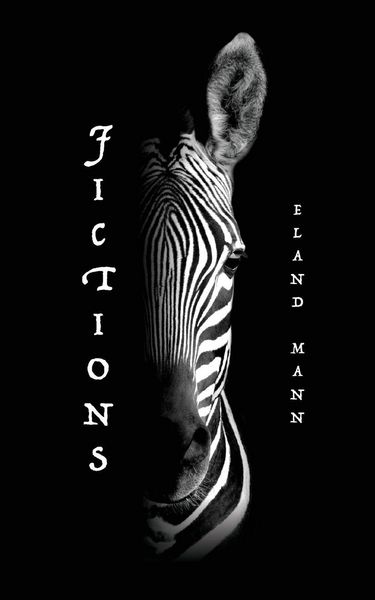 Produktbild: Fictions