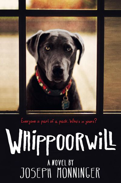 Produktbild: Whippoorwill