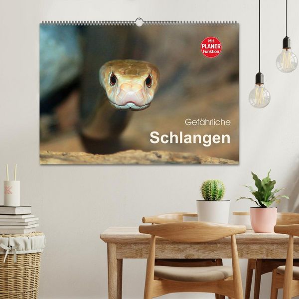 Produktbild: Gef&auml;hrliche Schlangen (Wandkalender 2026 DIN A2 quer), CALVENDO Monatskalender