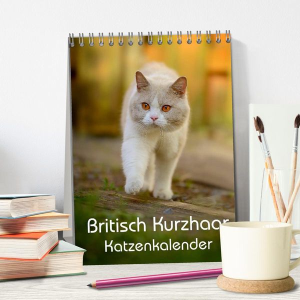 Produktbild: Britisch Kurzhaar Katzenkalender (Tischkalender 2026 DIN A5 hoch), CALVENDO Monatskalender
