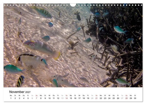 Produktbild: Unterwasserwelt der Malediven II (Wandkalender 2027 DIN A3 quer), CALVENDO Monatskalender
