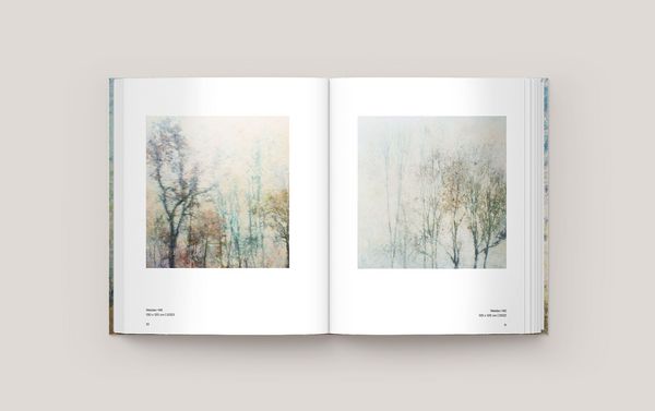 Produktbild: Marlis Albrecht &ndash; Zwischen B&auml;umen