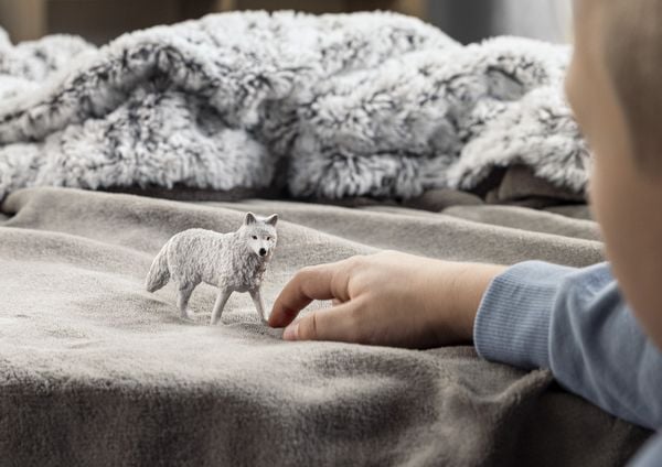 Produktbild: schleich&reg; 14880 Polarwolf